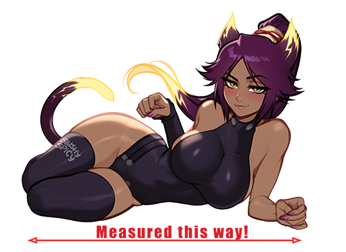 {MAGNET} [LARGE] Yoruichi Raijin Senkei